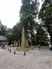 戸隠神社中社(長野県)