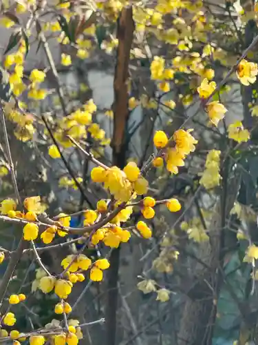 大蓮寺(京都府)