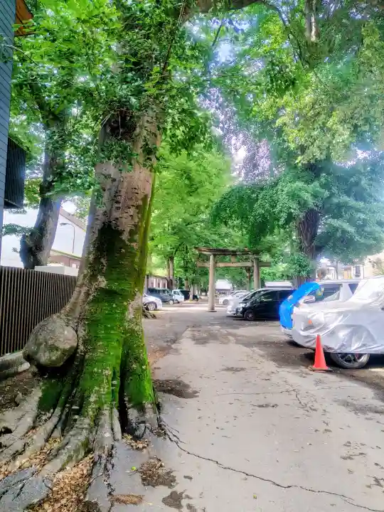 平塚神社(東京都)