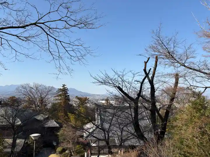 達磨寺(群馬県)