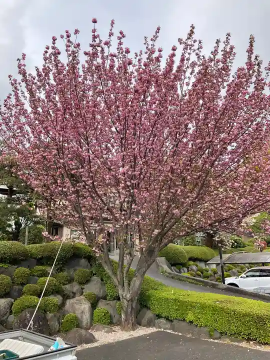 保井寺(東京都)