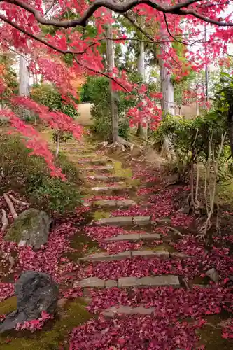 榮攝院（栄摂院）(京都府)