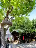 阿邪訶根神社(福島県)