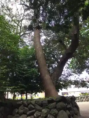 志等美神社(豊受大神宮摂社)の自然