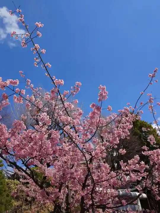 鳩森八幡神社(東京都)