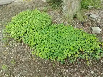 網戸神社(栃木県)