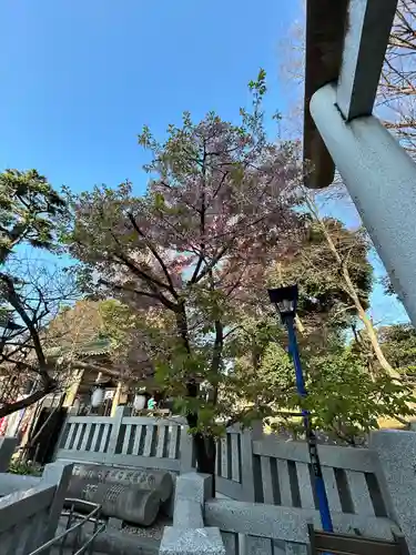 五條天神社(東京都)