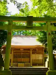 阿夫利神社の鳥居