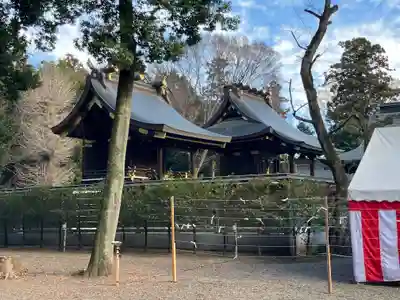 鷲宮神社(埼玉県)