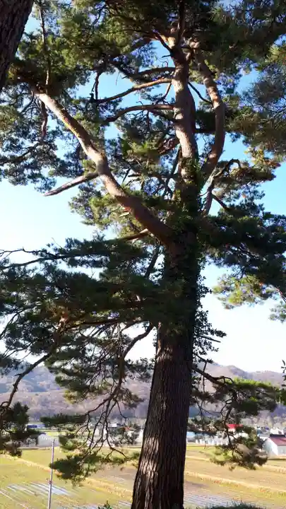 大江神社(北海道)