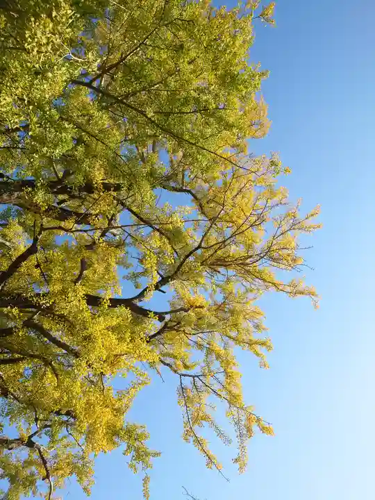 時宗総本山 遊行寺(正式:清浄光寺)(神奈川県)