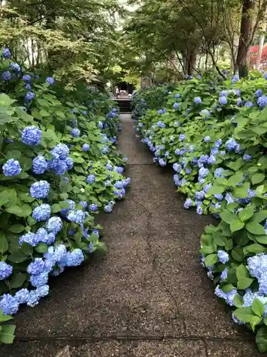 雲昌寺の建物その他