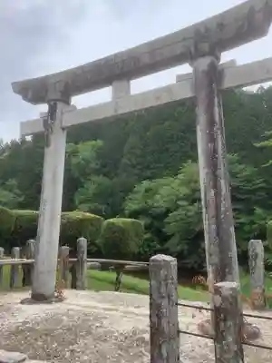 白山比咩神社の鳥居
