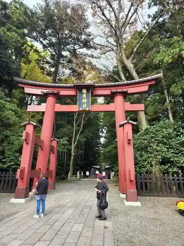 彌彦神社の鳥居