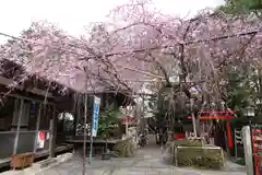 水火天満宮の庭園