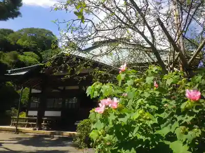 海蔵寺のその他建物
