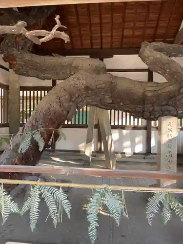 高砂神社の庭園