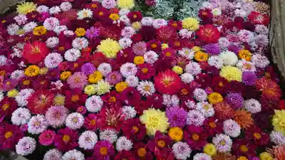 嵐山瀧神社の手水舎