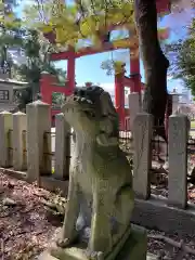 氣比神宮の狛犬