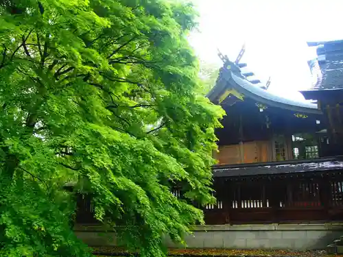 岐阜護國神社の本殿