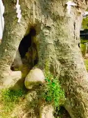 千勝神社の建物その他