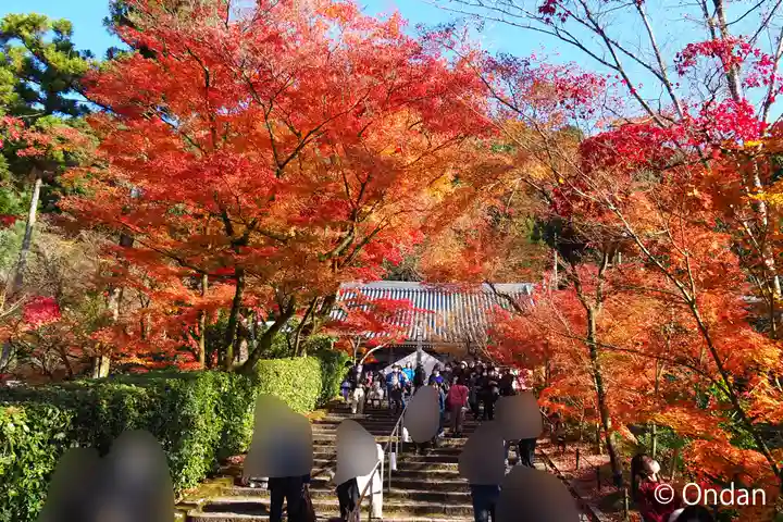 禅林寺(永観堂)(京都府)