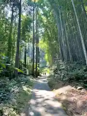 武雄神社(佐賀県)