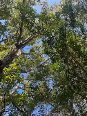 安房神社(千葉県)