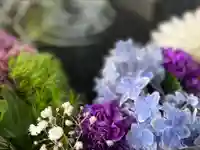 新琴似神社の庭園