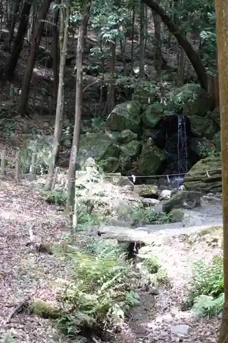 出雲大神宮の自然