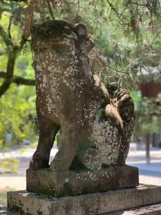 御霊神社(上御霊神社)の狛犬