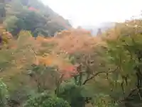 高山寺の自然