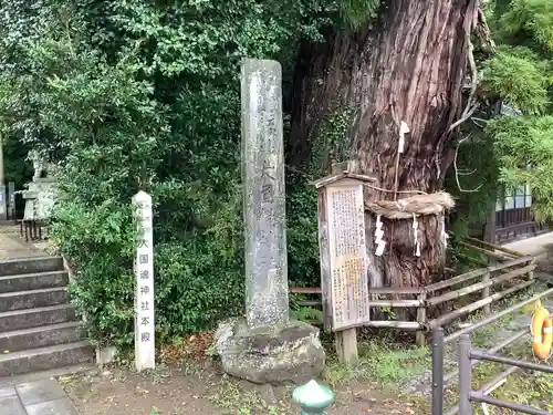 大國魂神社の自然