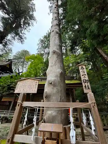 諏訪大社下社春宮(長野県)