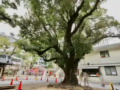難波神社の芸術