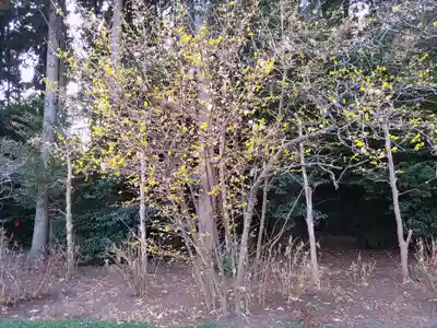芳賀天満宮(栃木県)