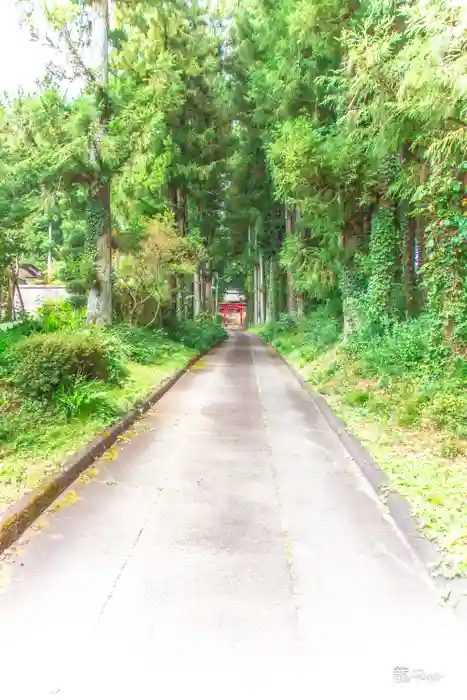 新田八幡神社の建物その他