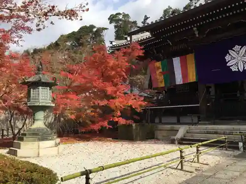 禅林寺（永観堂）の本殿・本堂