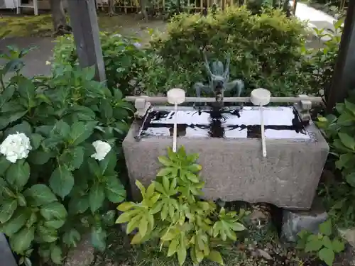 清林寺の手水舎