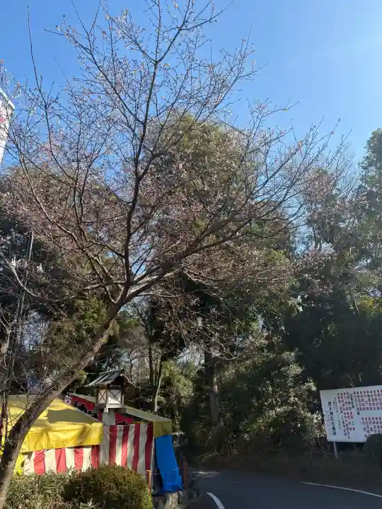 櫻木神社の{uncategorized: "未分類", other: "その他", undefined: "問題あり", building: "その他建物", grave: "お墓", sacred_gate: "鳥居", guardian: "狛犬", statue: "像", buddha: "仏像", history: "歴史", nature: "自然", garden: "庭園", animal: "動物", pagoda: "塔", temizu: "手水舎", mountain_gate: "山門・神門", sanctuary: "本殿・本堂", subordinate: "末社・摂社", art: "芸術", scenery: "景色", jizo: "地蔵", ema: "絵馬", goshuin: "御朱印", omikuji: "おみくじ", items: "授与品その他", amulet: "お守り", goshuincho: "御朱印帳", eats: "食事", festival: "お祭り", votive_dance: "神楽", shichigosan: "七五三参", wedding: "結婚式", experience: "体験その他", initially: "初詣", around: "周辺", anti_infection: "感染症対策"}