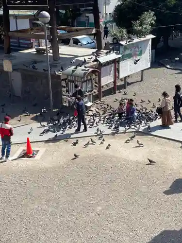 大須観音 （北野山真福寺宝生院）のその他建物