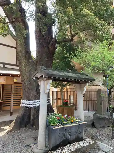 目黒富士浅間神社の手水舎