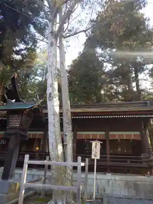 諏訪大社下社秋宮(長野県)