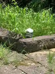 伊佐須美神社(福島県)