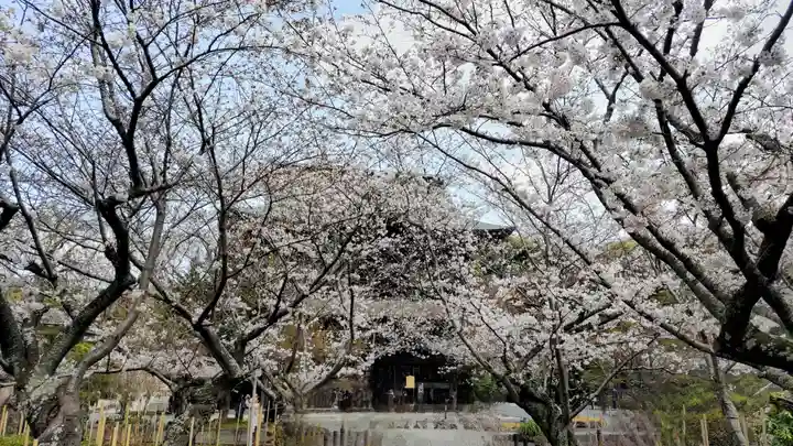 建長寺(神奈川県)