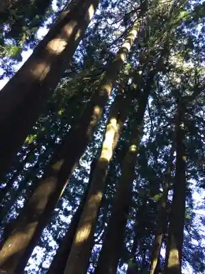 清高稲荷社のその他建物