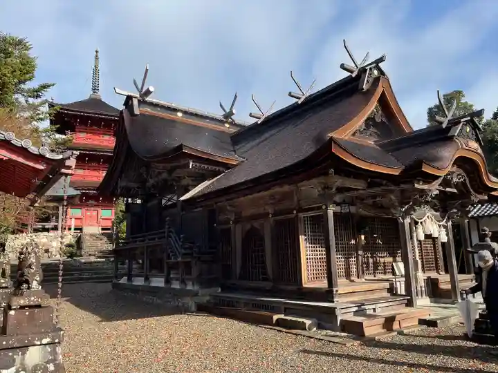 柏原八幡宮の本殿・本堂