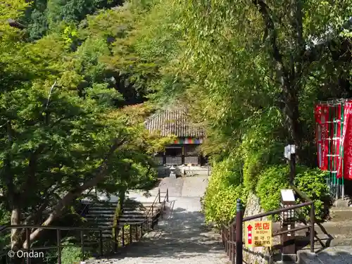 長谷寺(奈良県)
