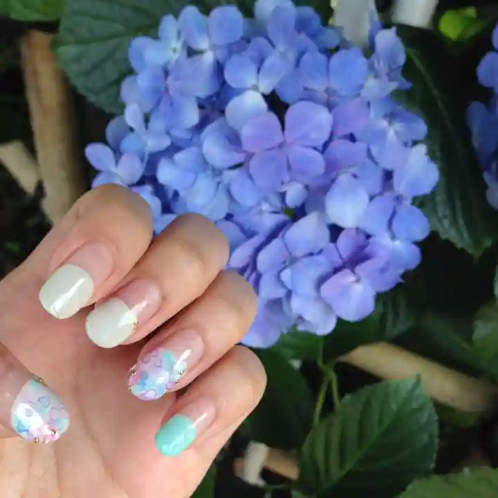 白山神社(東京都)