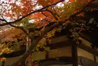 日頼寺(山口県)